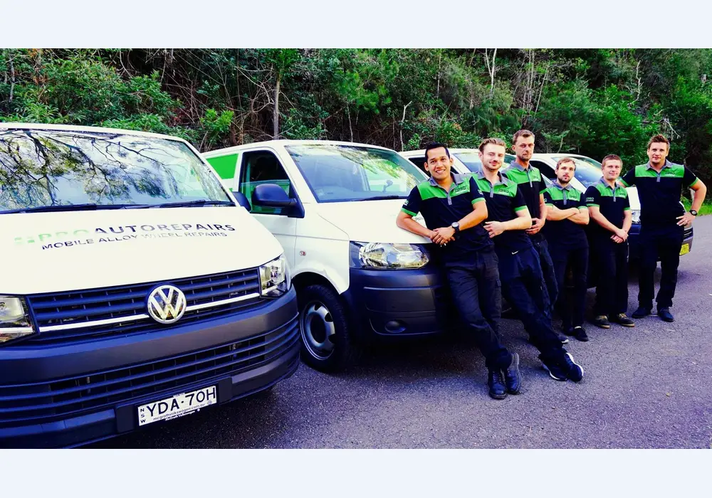 Mobile mechanic Pro Auto Repairs